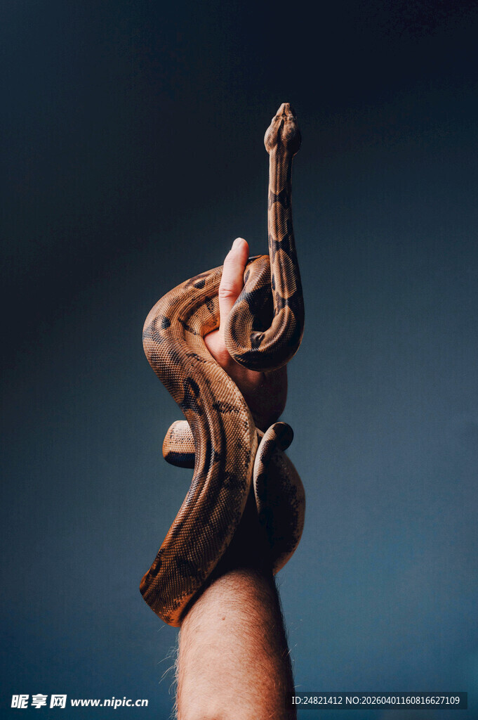 手指上的吉他演奏者