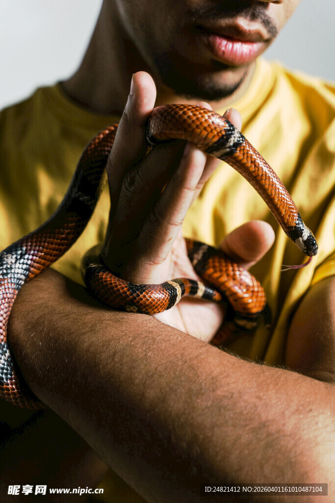 男子手持缠绕手臂的蛇