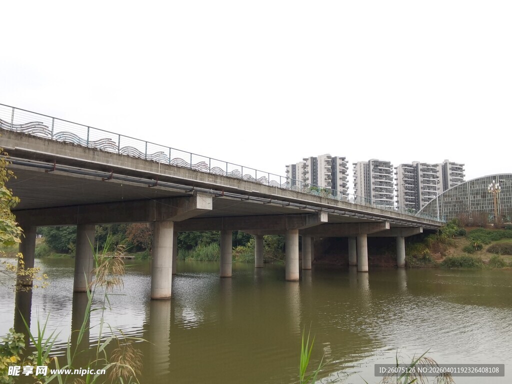 城市河畔桥梁景观