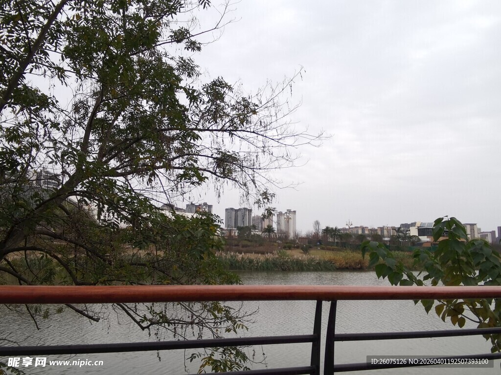 河畔风景树木与朦胧远景