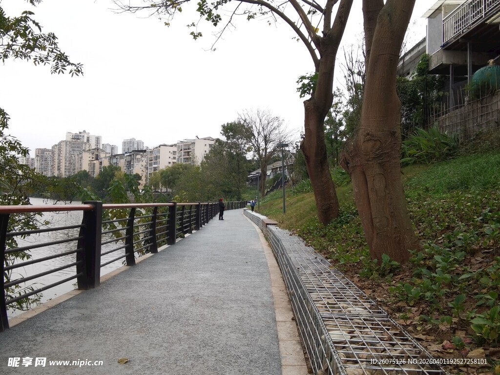 城市河畔幽静步道风景