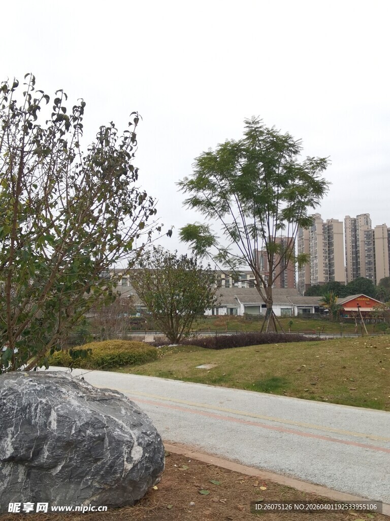 城市中的自然景观一隅