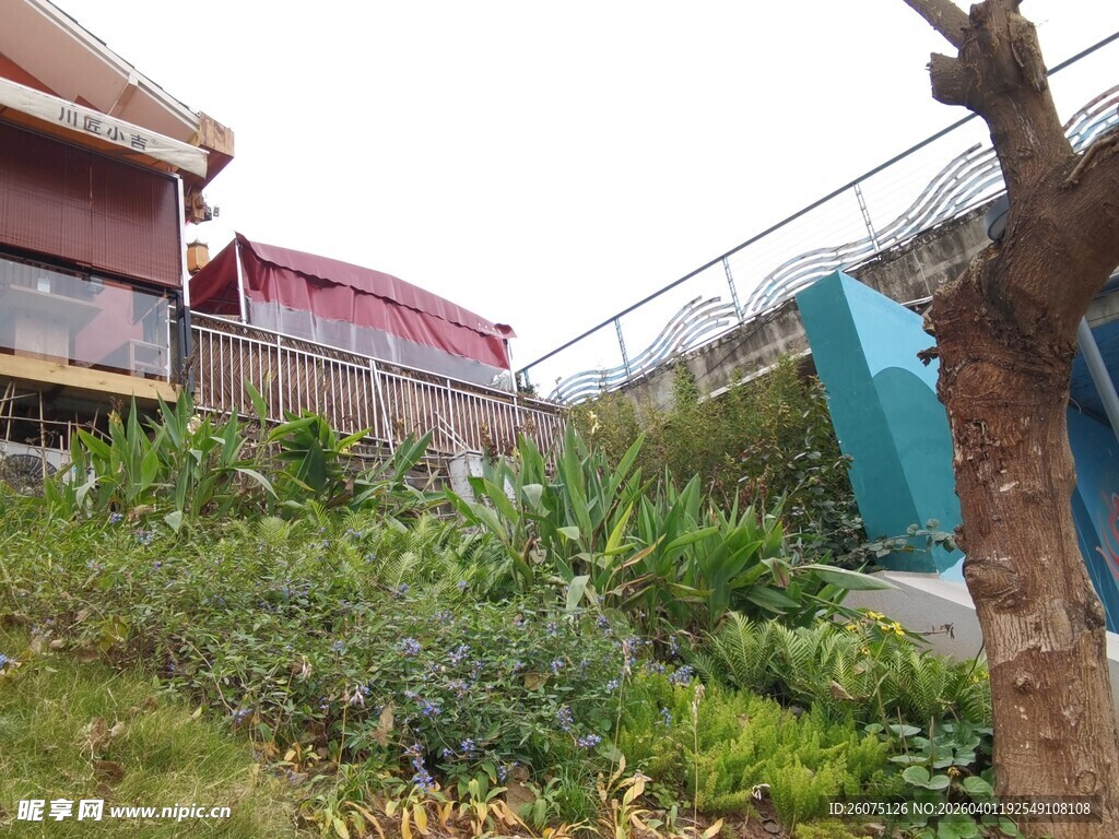 户外绿植环绕的建筑角落