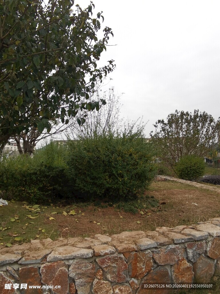 石墙边的绿植景观