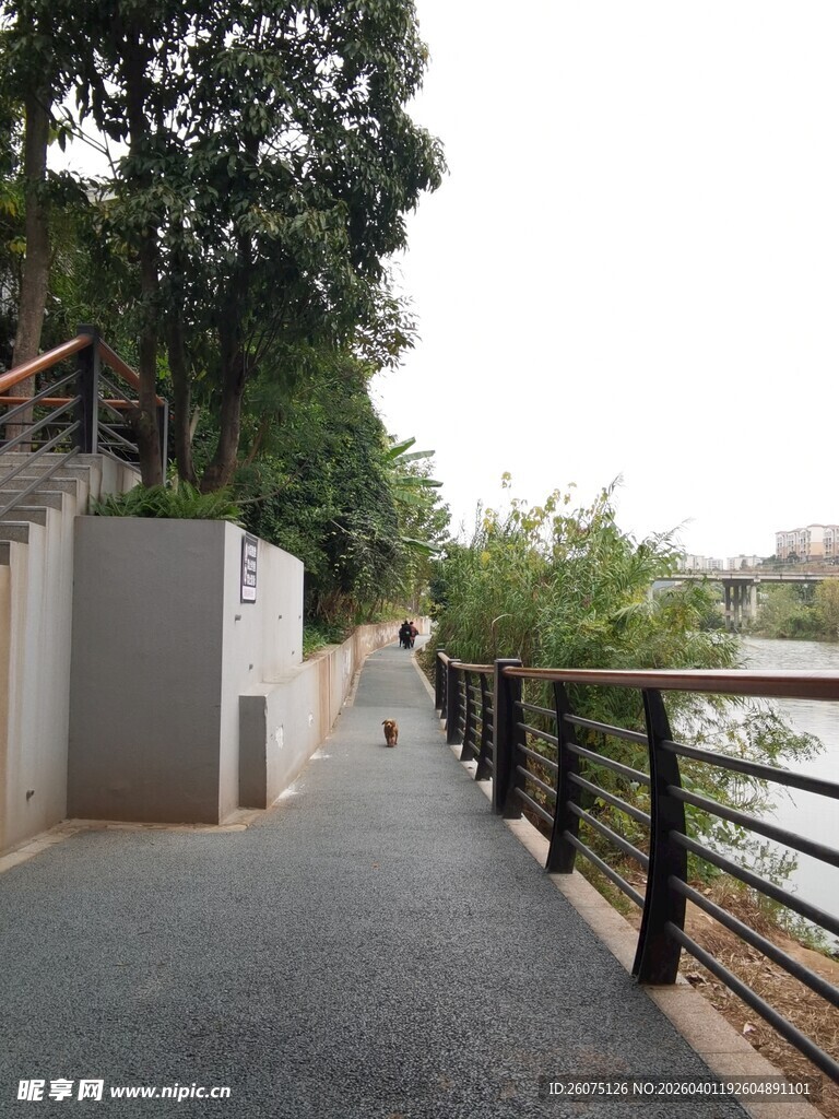 河边幽静步道风景