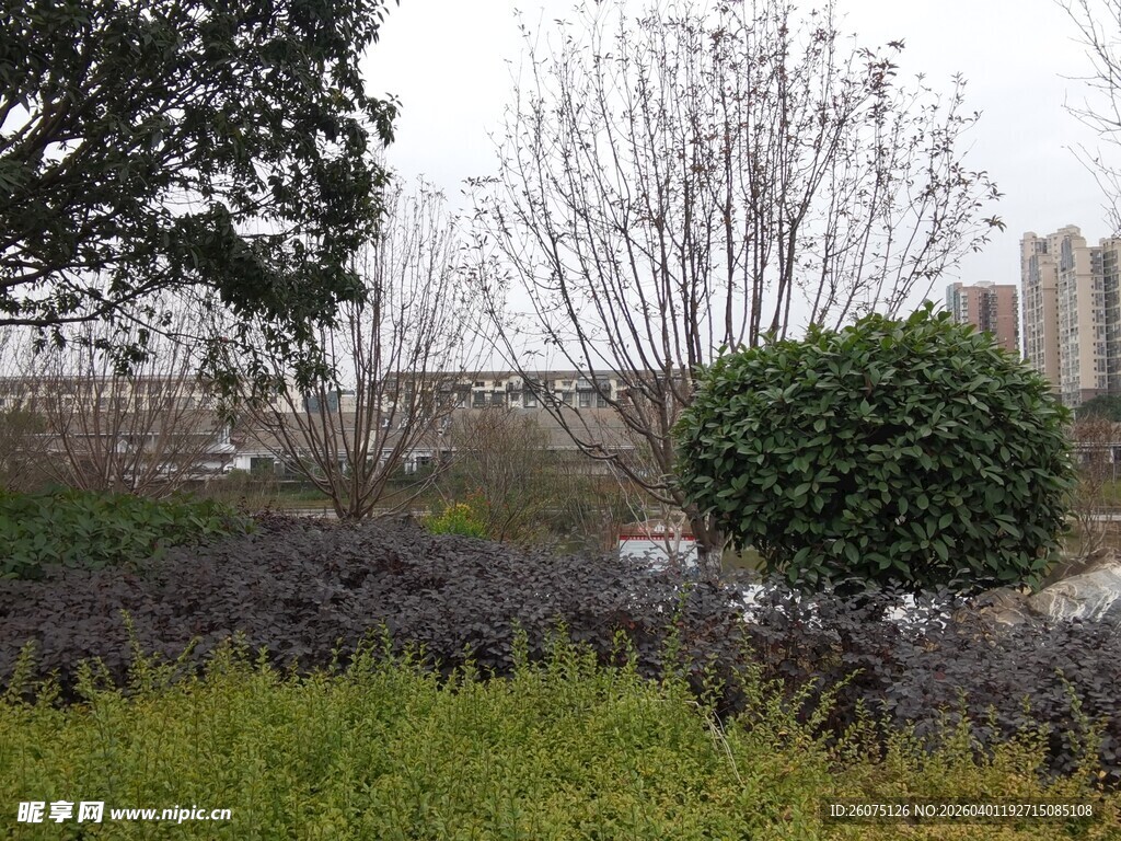 城市园林景观绿植景致