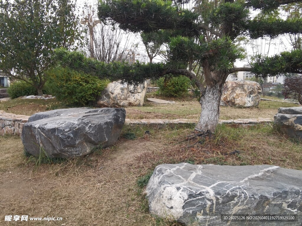 园林景观中的怪石与盆景