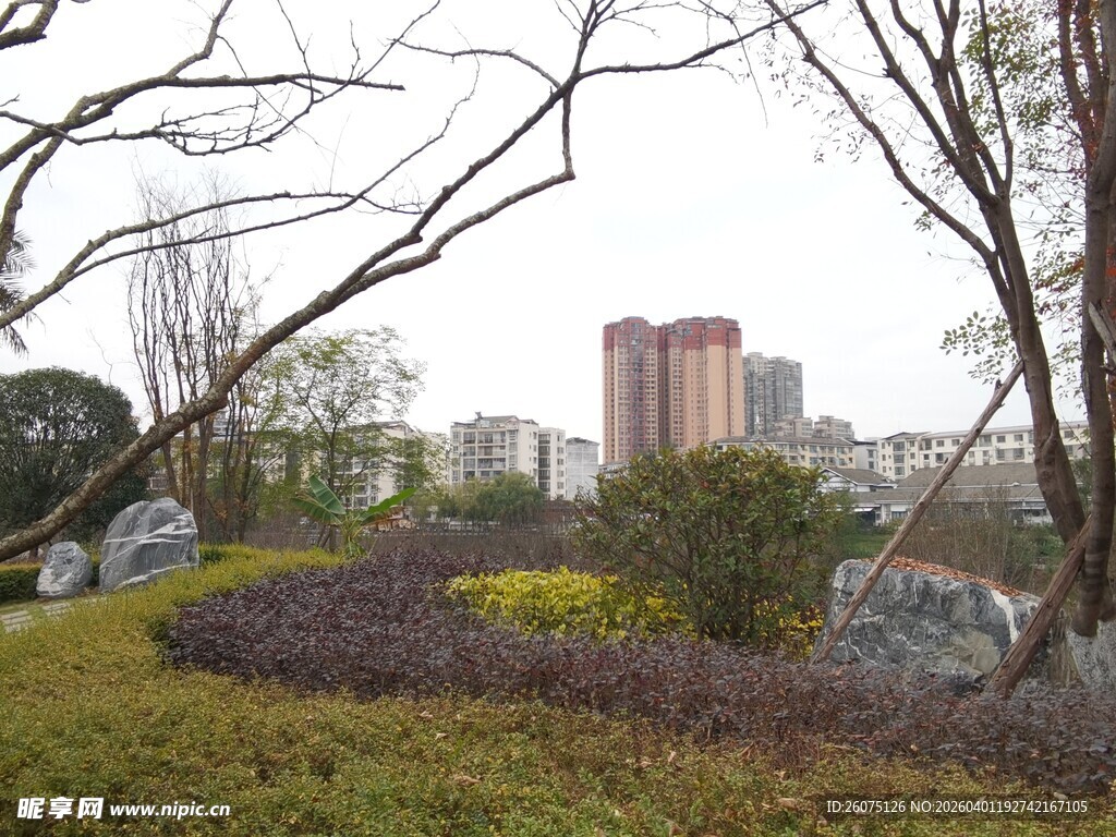 城市中的自然景观一角