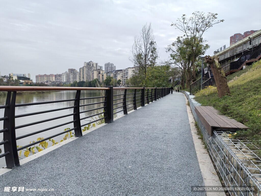 城市河畔林荫步道景观
