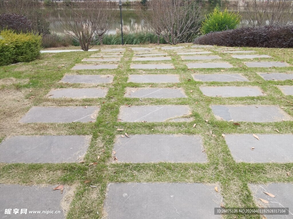 石板铺就的绿意庭院小径