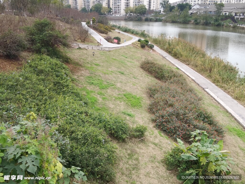 河畔绿植环绕的休闲步道