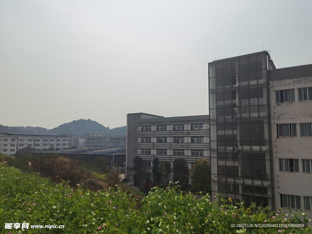 楼前绿植与远山景致