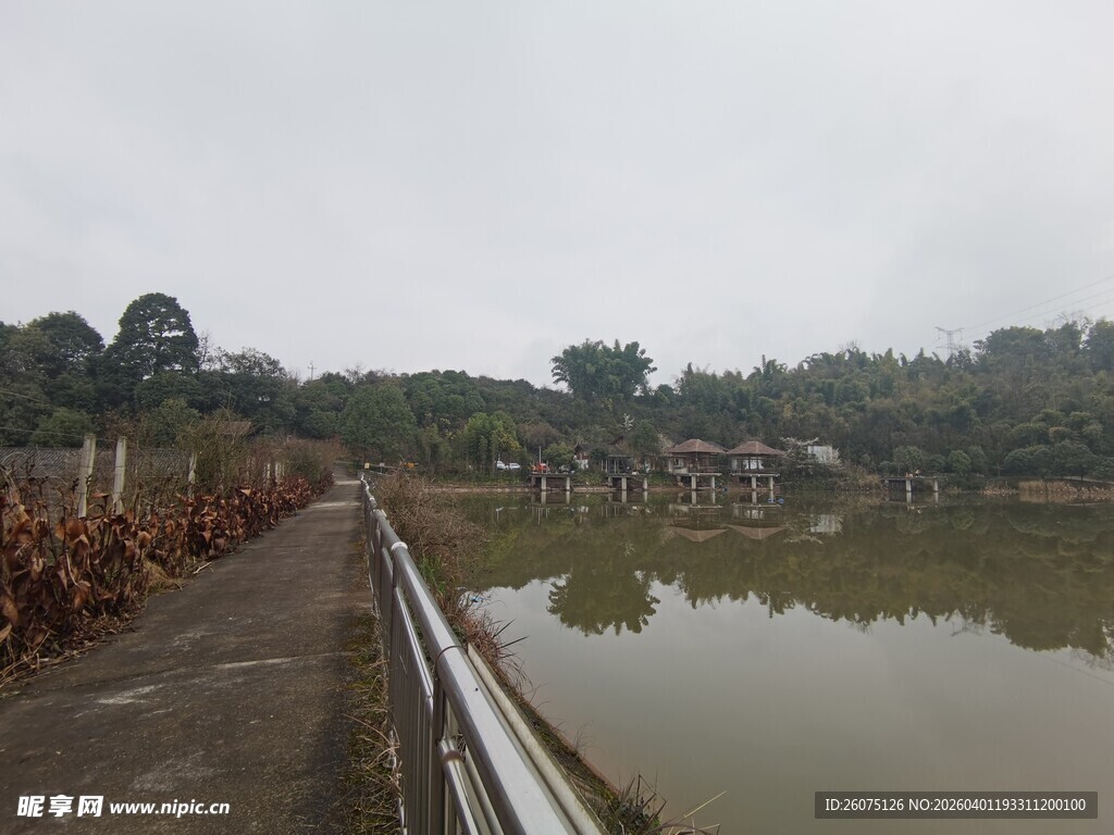 乡村池塘边的宁静景象