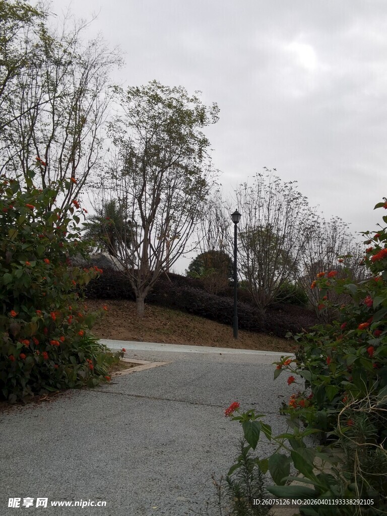 林间蜿蜒小路秋意景致