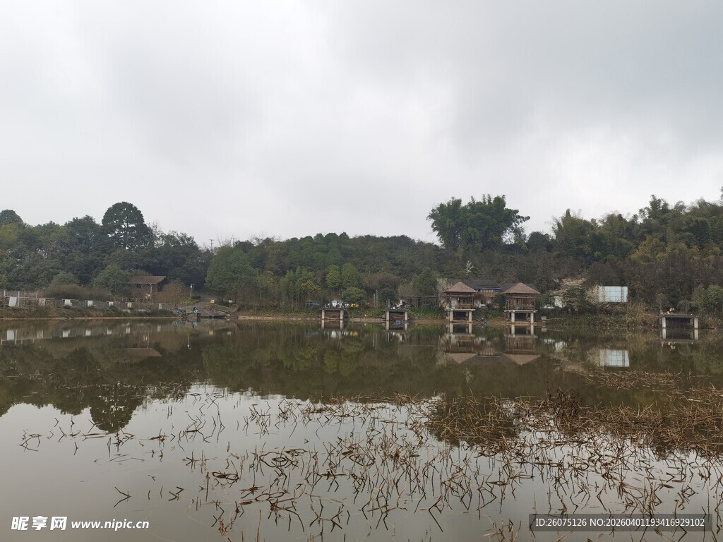 湿地景观静谧自然之境