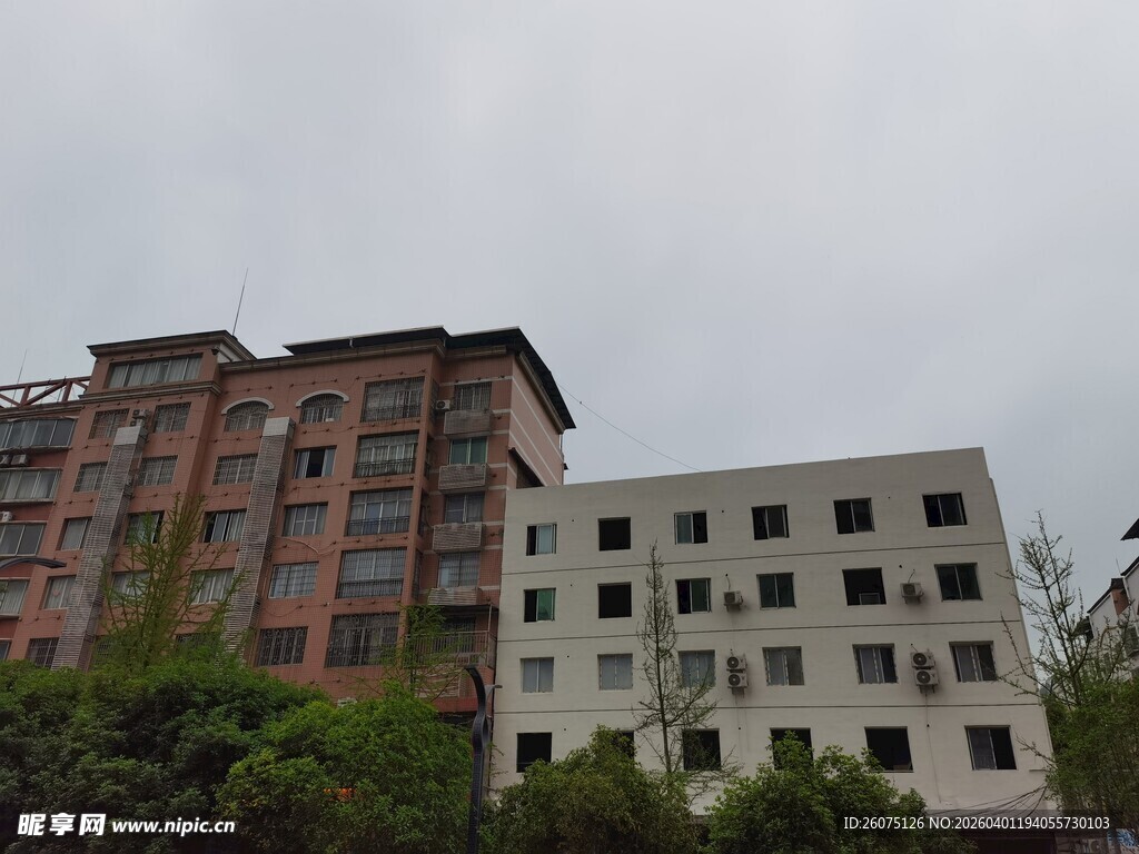 老旧楼房与绿树景观