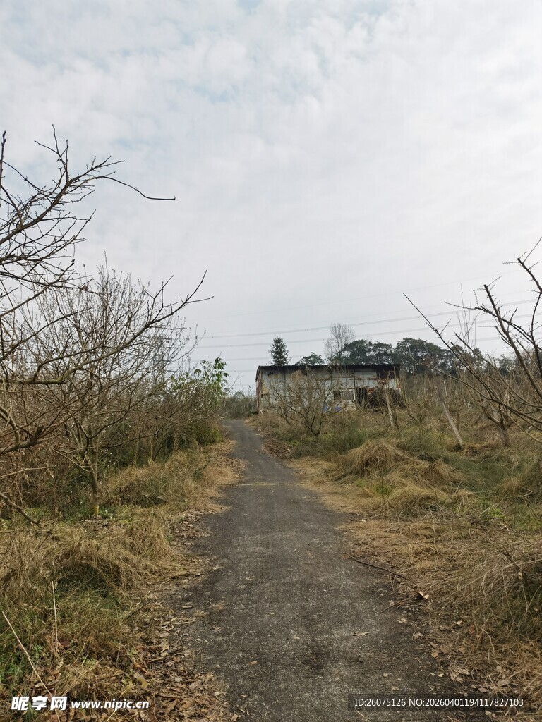 荒野小径通向远方建筑