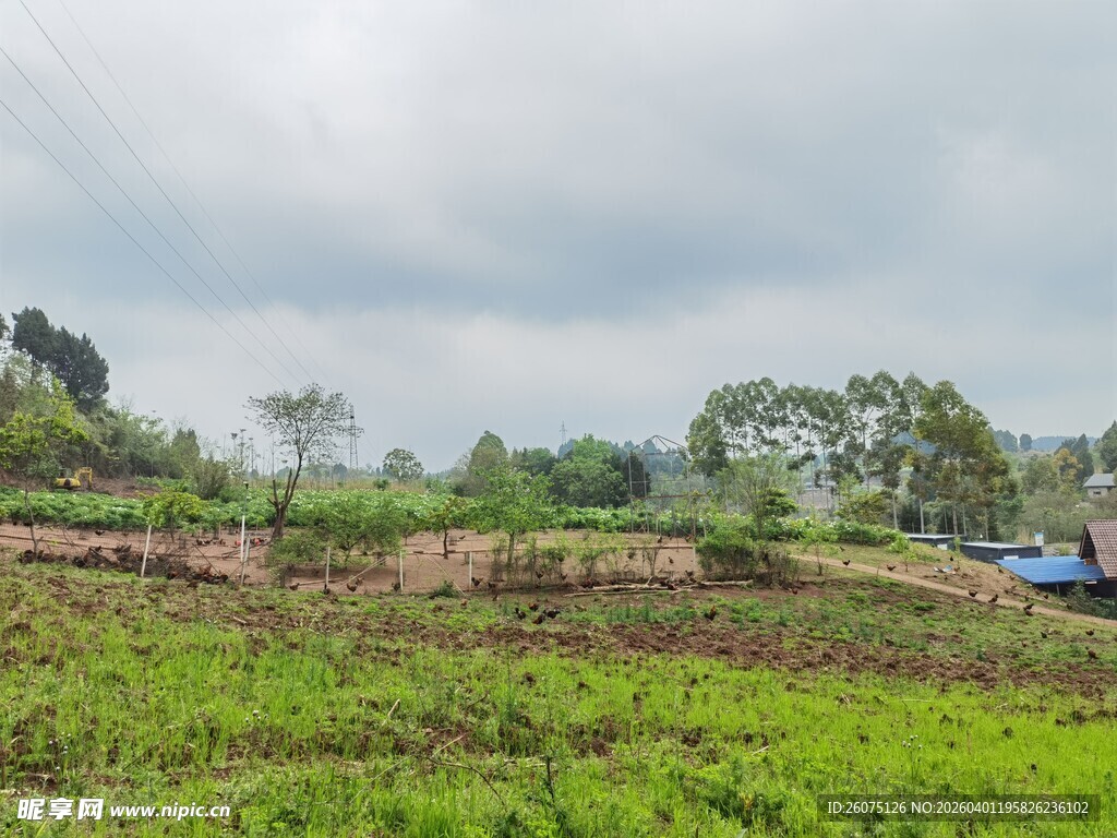 田野风光绿意盎然的景致