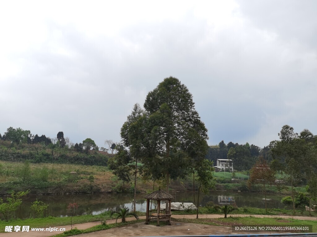 郊外绿树环绕的宁静景致