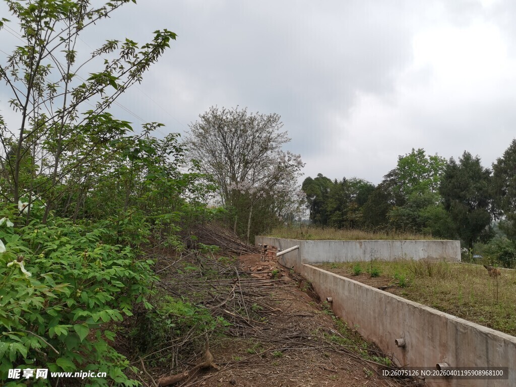 郊外自然景观绿植与水域