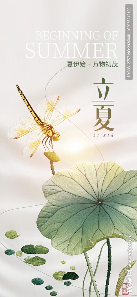 夏日荷塘蜻蜓立叶图