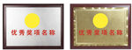 优秀奖牌展示