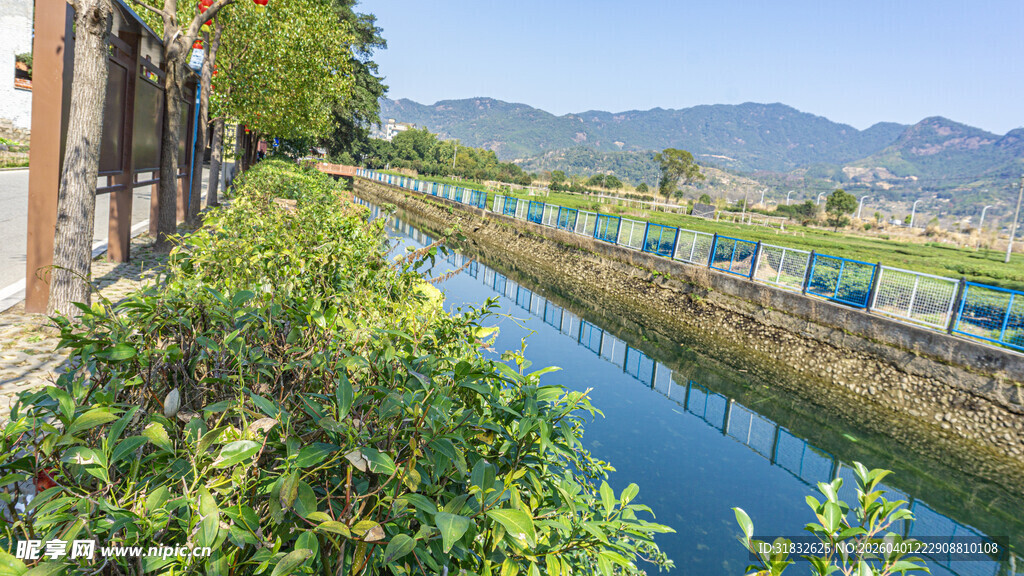 河畔绿植环绕的宁静风光