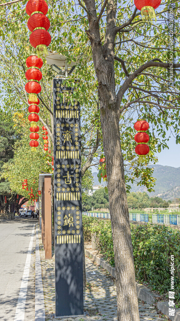 路边红灯笼装点的繁茂树木