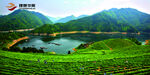 理想华莱茶山背景