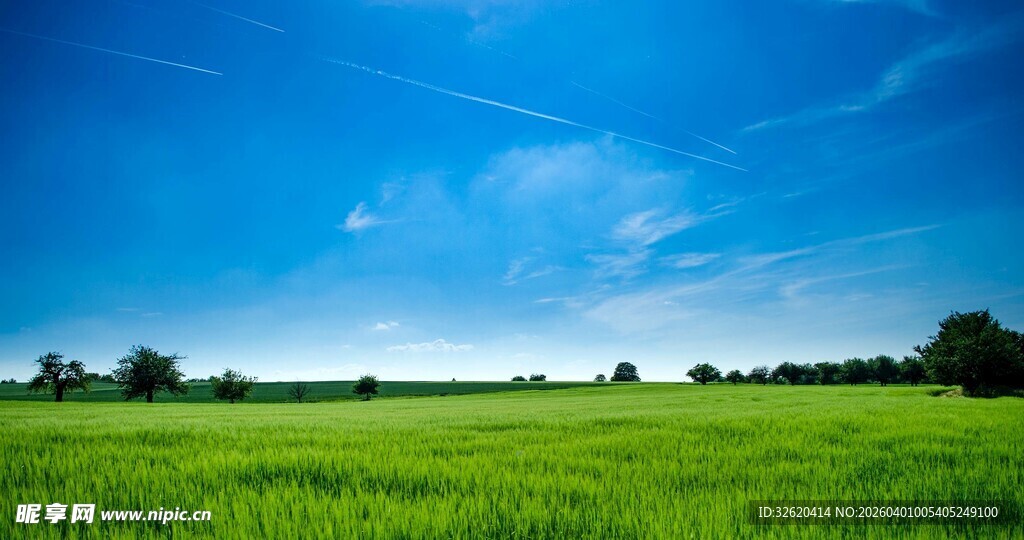 广袤绿野上的晴朗蓝天