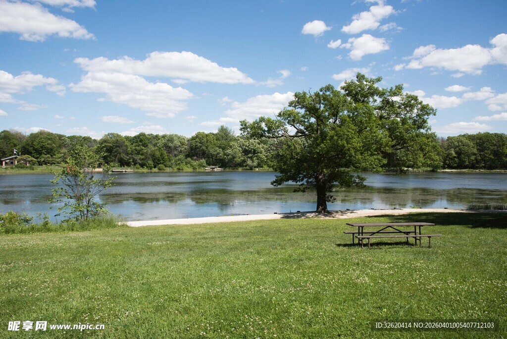 湖畔绿树草地