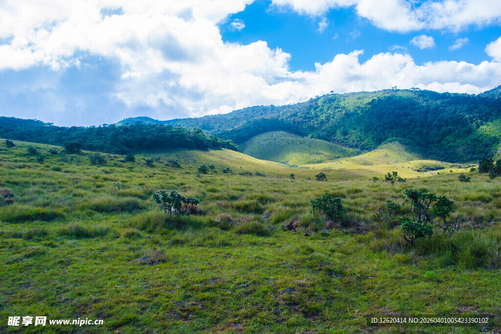 广袤绿野间的壮丽山峦
