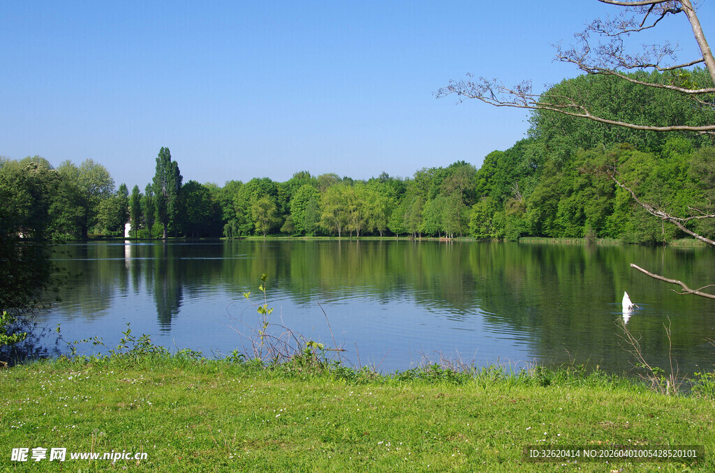 湖畔绿意盎然的自然风光