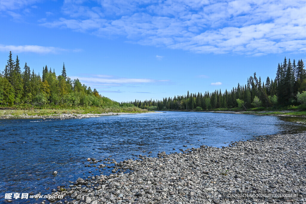 河畔砾石与葱郁林木景观