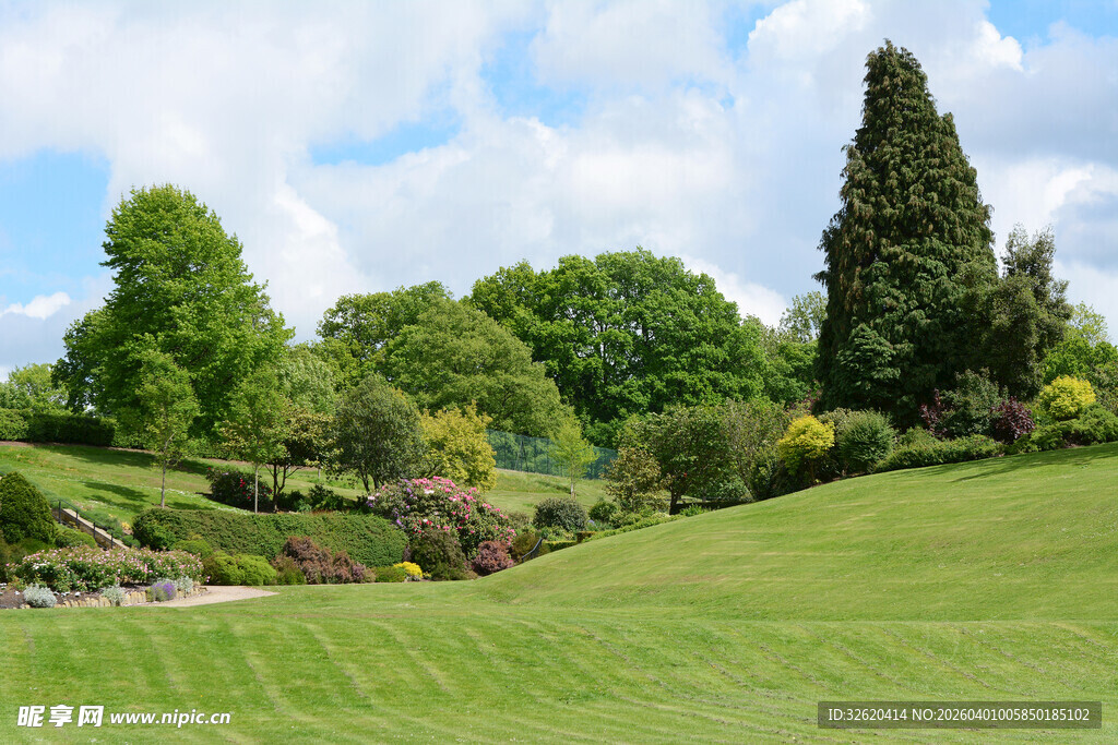 绿意盎然的户外园林景观
