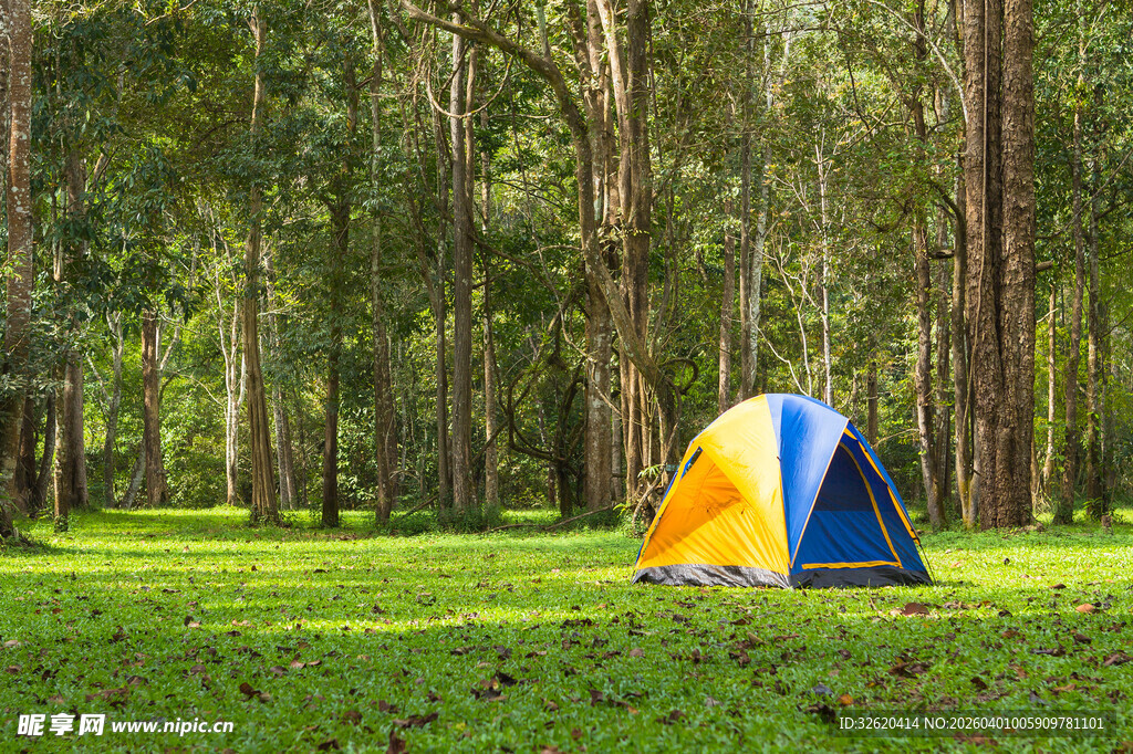 森林中的多彩露营帐篷