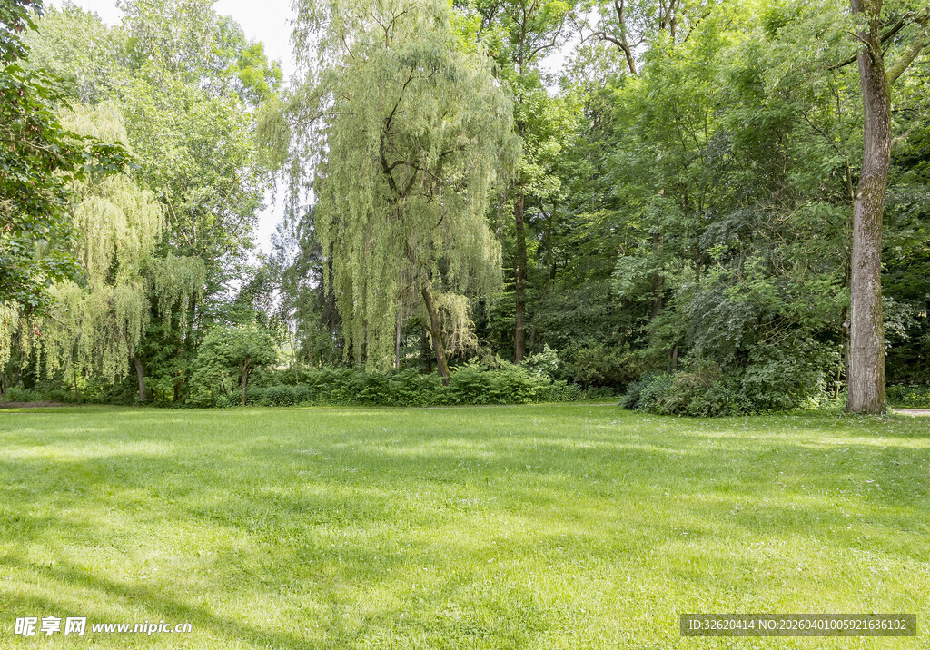 绿意盎然的户外草坪景观