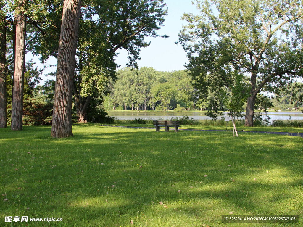 绿意盎然的户外草地风景