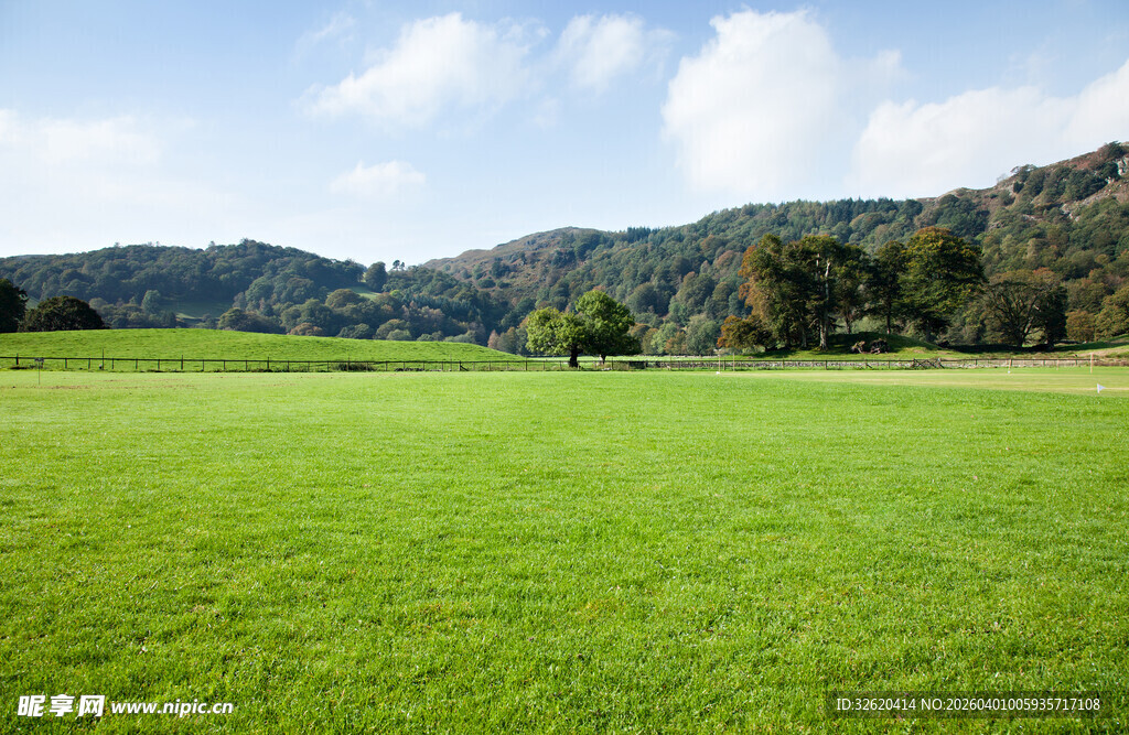 广袤绿草地与远山美景