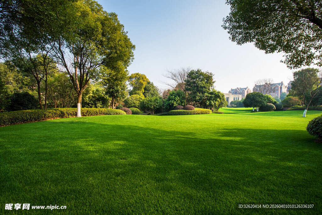 绿意盎然的户外草坪景观