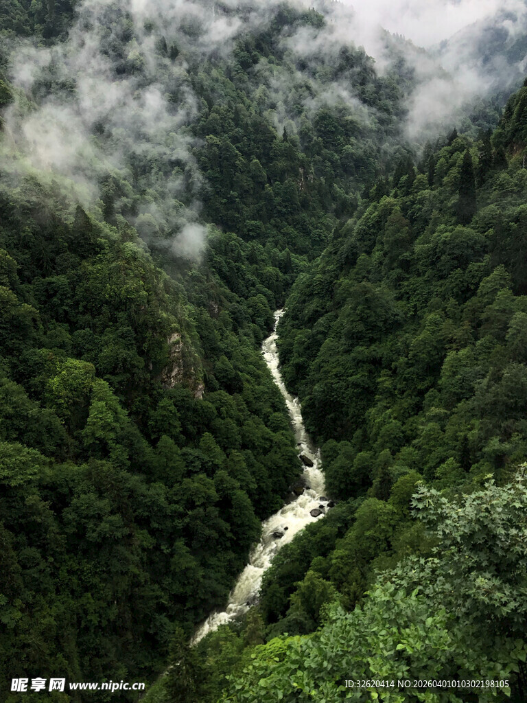 山间溪流穿翠谷