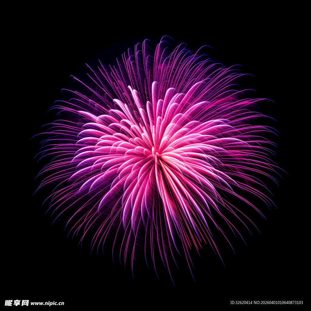 绚丽紫色烟花绽放夜空