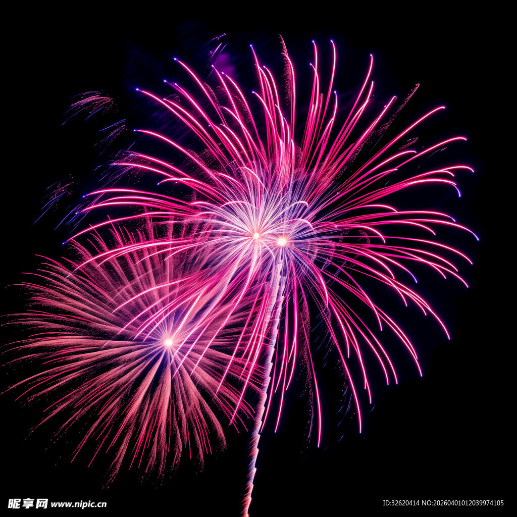 绚丽烟花绽放夜空