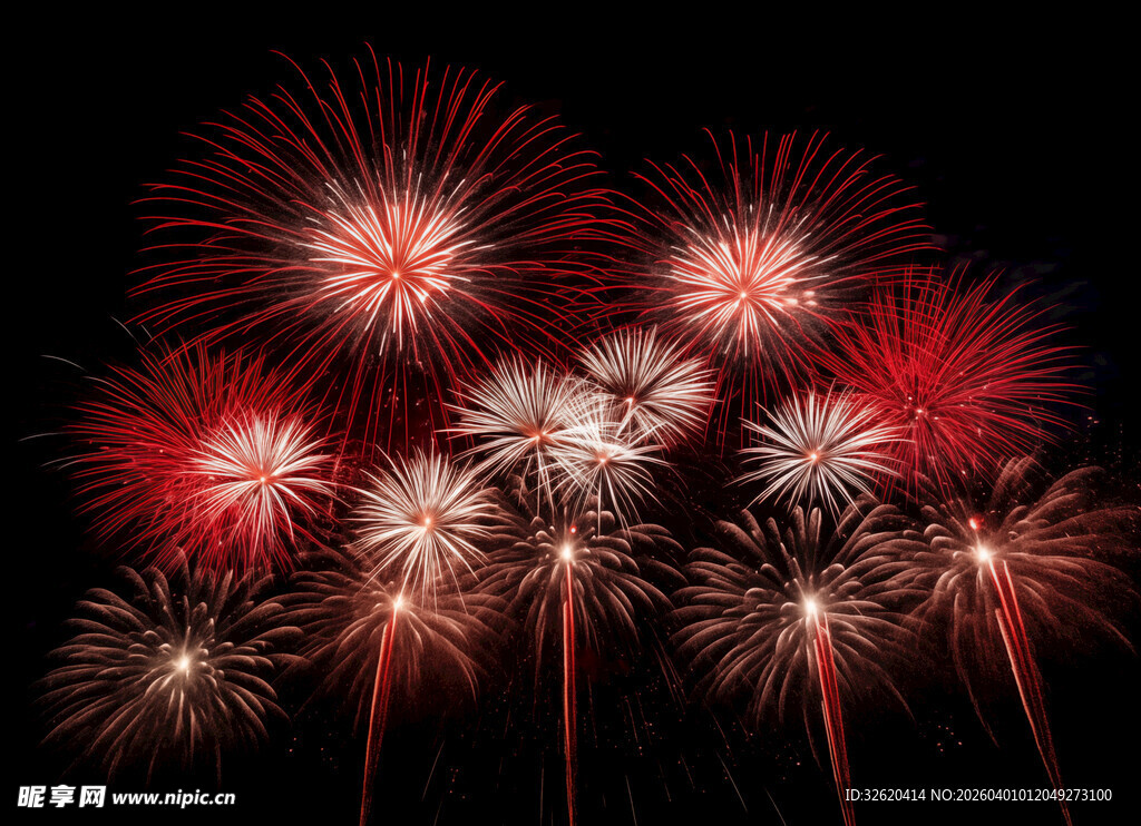 绚丽烟花绽放夜空