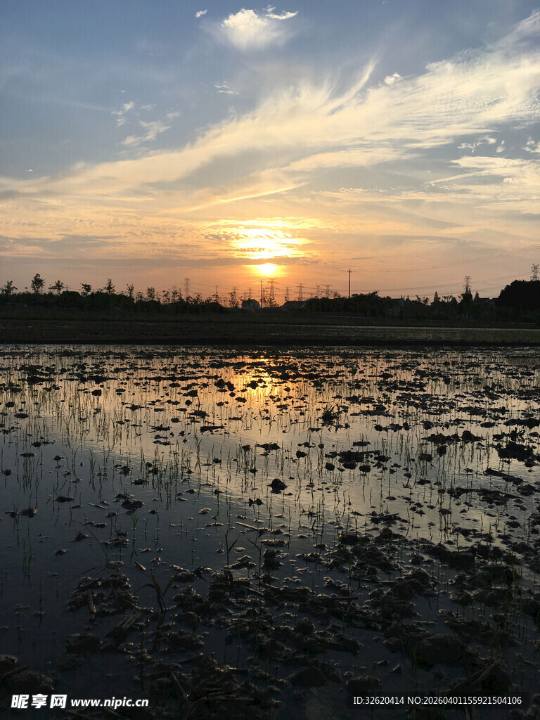 夕阳下的静谧水域景观