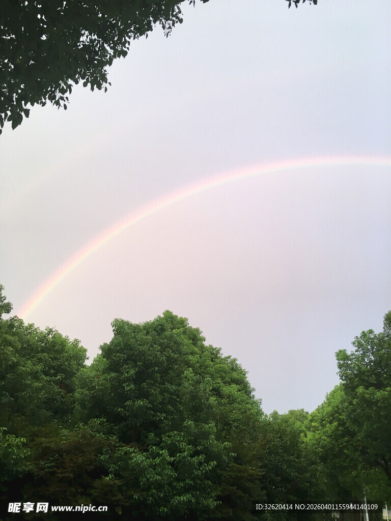 林间彩虹美景