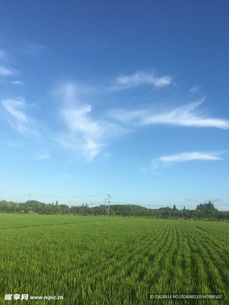 广袤绿野上的晴朗蓝天