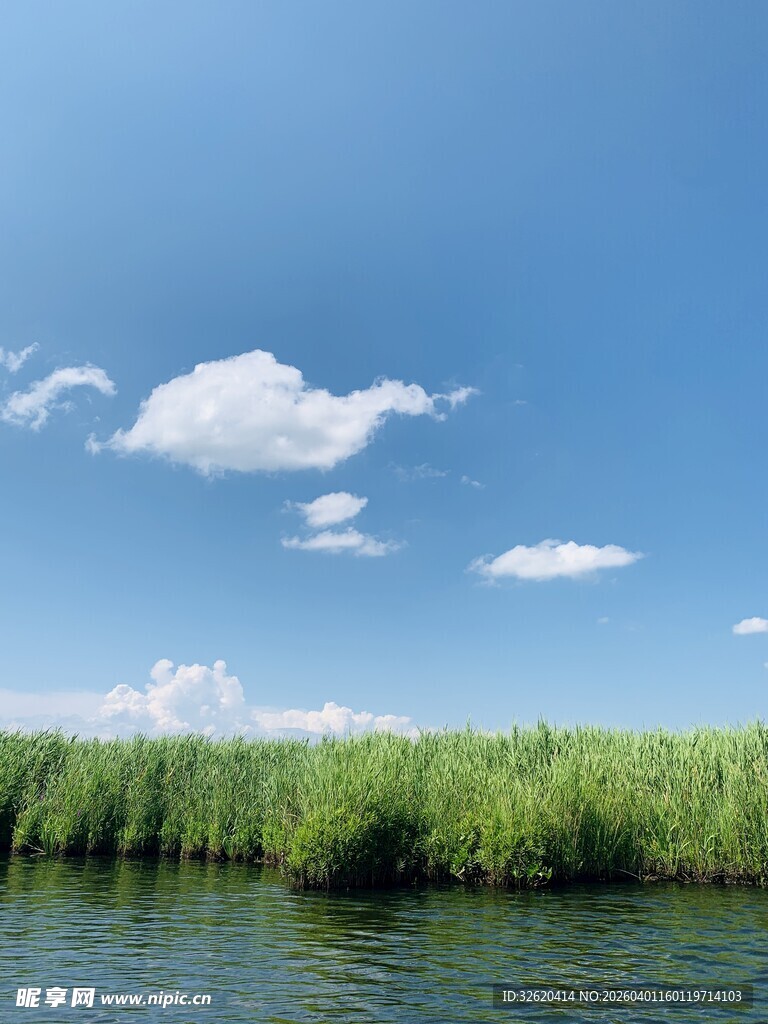 湖畔绿野蓝天美景