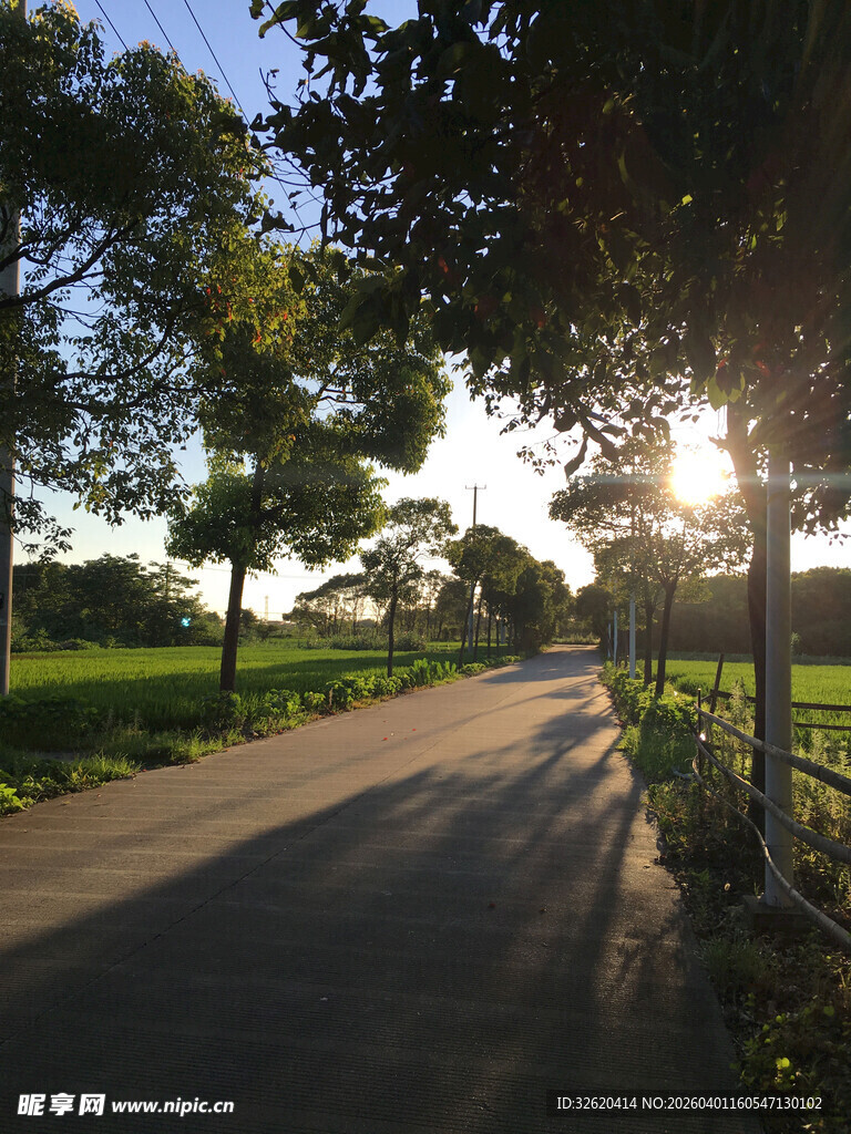 夕阳下的林间小路