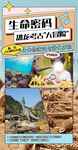 生命密码探索 开启考古奇妙之旅